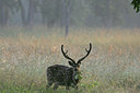 BUITEN BEELD Foto: 34071