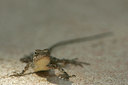 BUITEN BEELD Foto: 34081