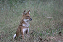 BUITEN BEELD Foto: 34092