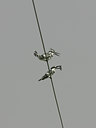 BUITEN BEELD Foto: 34131