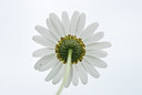 BUITEN BEELD Foto: 34140