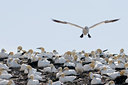 BUITEN BEELD Foto: 34158
