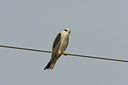 BUITEN BEELD Foto: 34178