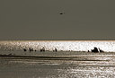 BUITEN BEELD Foto: 34200