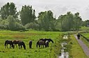 BUITEN BEELD Foto: 34220