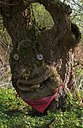 BUITEN BEELD Foto: 34228
