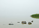 BUITEN BEELD Foto: 34255