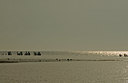 BUITEN BEELD Foto: 34260