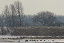 BUITEN BEELD Foto: 34316