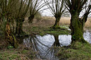 BUITEN BEELD Foto: 34324