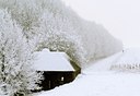 BUITEN BEELD Foto: 34329