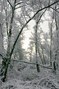 BUITEN BEELD Foto: 34336