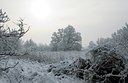 BUITEN BEELD Foto: 34338