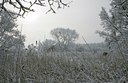 BUITEN BEELD Foto: 34339