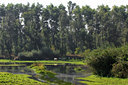 BUITEN BEELD Foto: 34345
