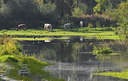 BUITEN BEELD Foto: 34346