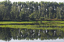 BUITEN BEELD Foto: 34390
