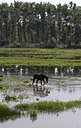BUITEN BEELD Foto: 34392