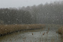 BUITEN BEELD Foto: 34404