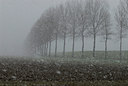 BUITEN BEELD Foto: 34406