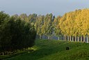 BUITEN BEELD Foto: 34411