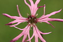 BUITEN BEELD Foto: 34454