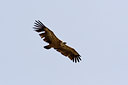 BUITEN BEELD Foto: 34461