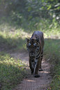 BUITEN BEELD Foto: 34466