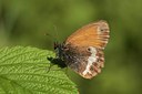 BUITEN BEELD Foto: 34476