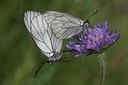 BUITEN BEELD Foto: 34482