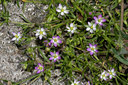 BUITEN BEELD Foto: 34496