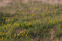 BUITEN BEELD Foto: 34505