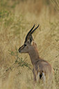 BUITEN BEELD Foto: 34526