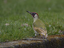 BUITEN BEELD Foto: 34571