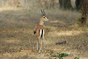 BUITEN BEELD Foto: 34591