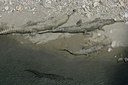 BUITEN BEELD Foto: 34604