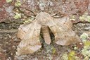 BUITEN BEELD Foto: 34621
