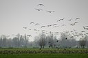 BUITEN BEELD Foto: 34652
