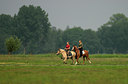 BUITEN BEELD Foto: 34678
