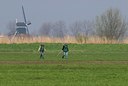 BUITEN BEELD Foto: 34688