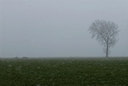 BUITEN BEELD Foto: 34714