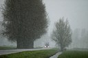 BUITEN BEELD Foto: 34716
