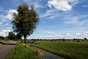 BUITEN BEELD Foto: 34720