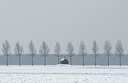 BUITEN BEELD Foto: 34736