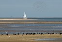 BUITEN BEELD Foto: 34787