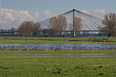 BUITEN BEELD Foto: 34836