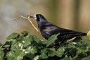 BUITEN BEELD Foto: 34988