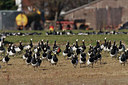 BUITEN BEELD Foto: 34994