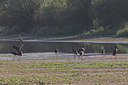 BUITEN BEELD Foto: 349007