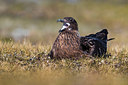 BUITEN BEELD Foto: 349056
